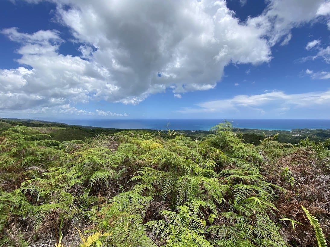 Gran oportunidad de inversión: solares asequibles con vista al mar en El Jamito, Las Terrenas — En venta