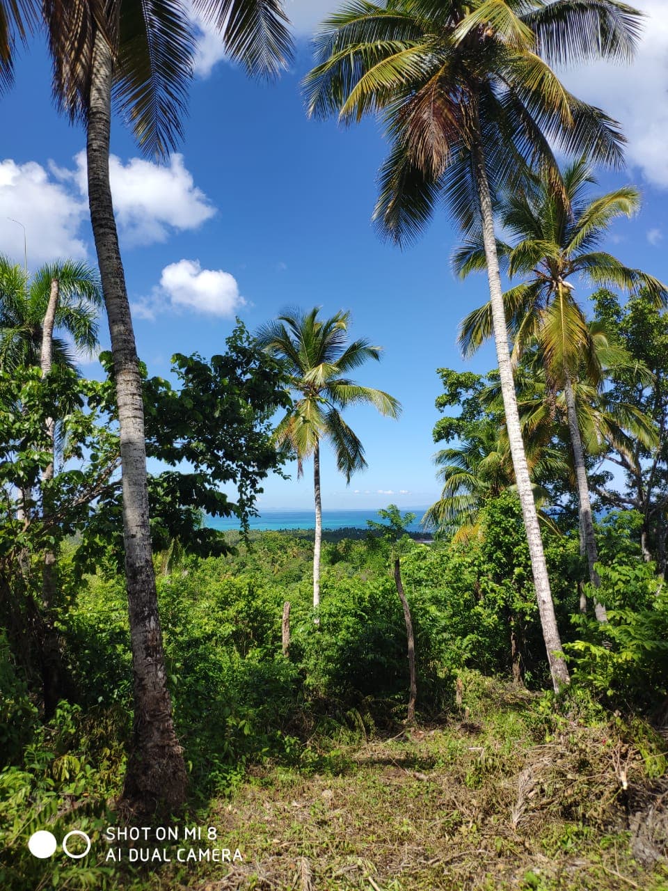 Terreno en la cima de una montaña con vista espectacular en La Noria, Las Terrenas — En venta