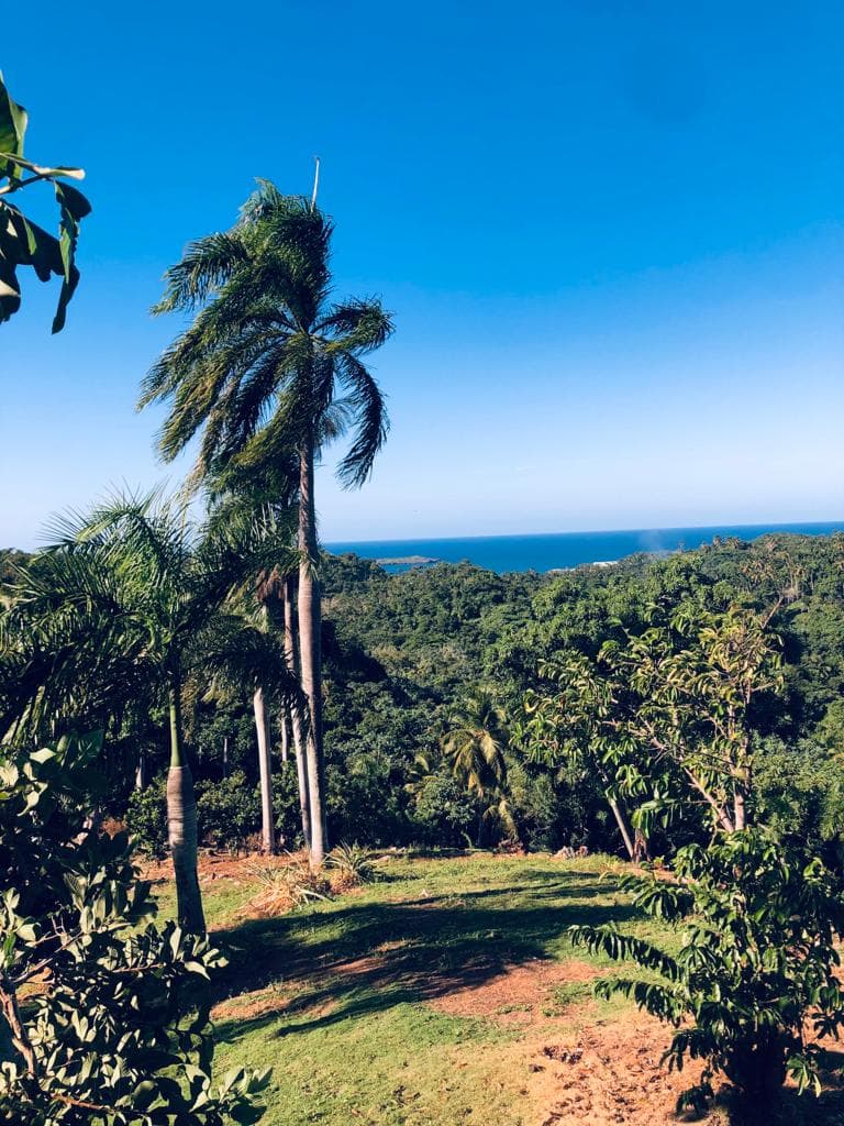 Increíble colina con vista a Playa Morón en El Limón, Las Terrenas — En venta
