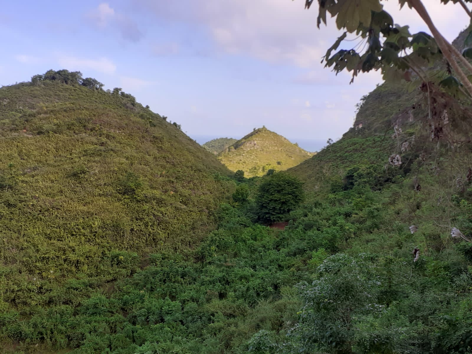 Terreno a 15 min de la playa con vista al mar en El Jamito, Las Terrenas — En venta