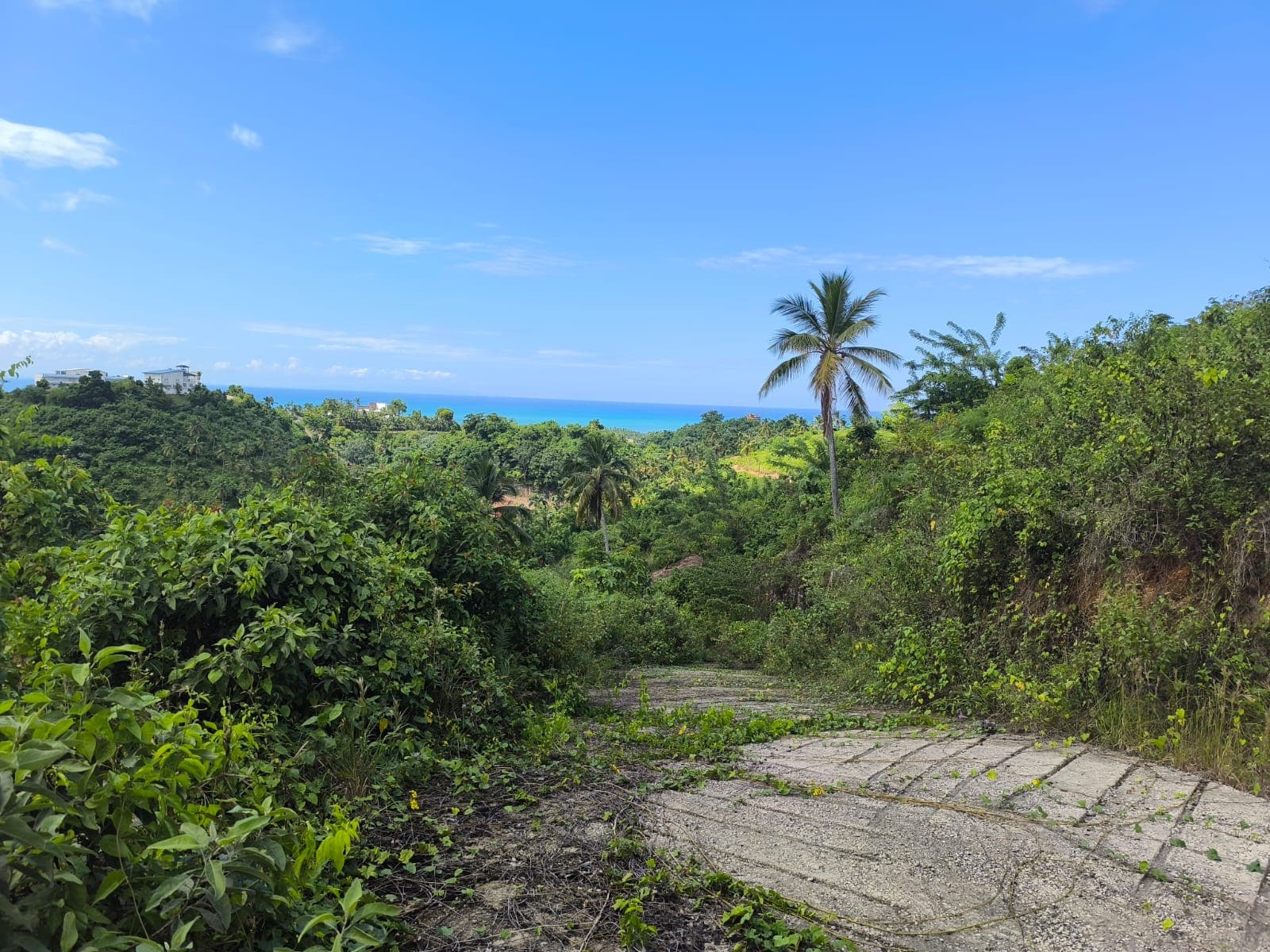 Solar con vista al mar listo para construir en La Noria, Las Terrenas — En venta