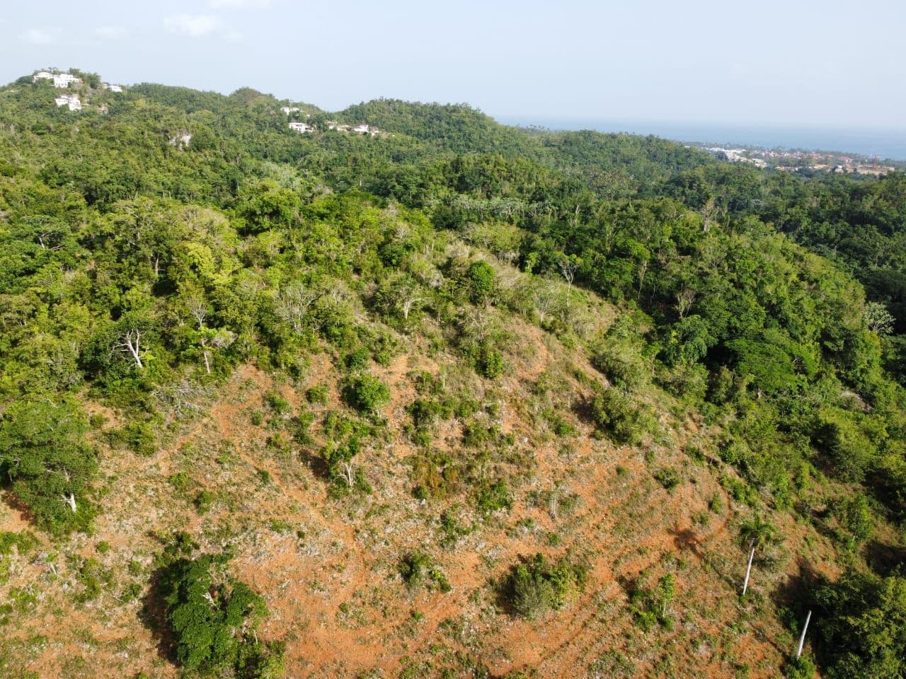 Convenientes lotes de construcción en Barbacoa en El Limón — En venta