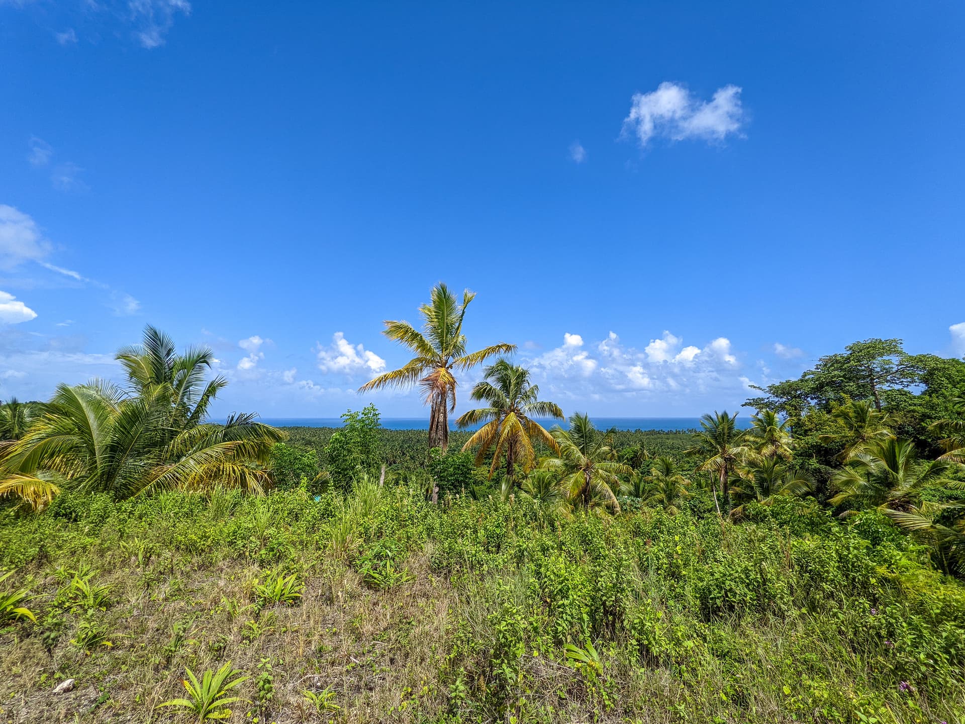 Colina con vista al mar cerca de la playa de Cosón en Cosón, Las Terrenas — En venta