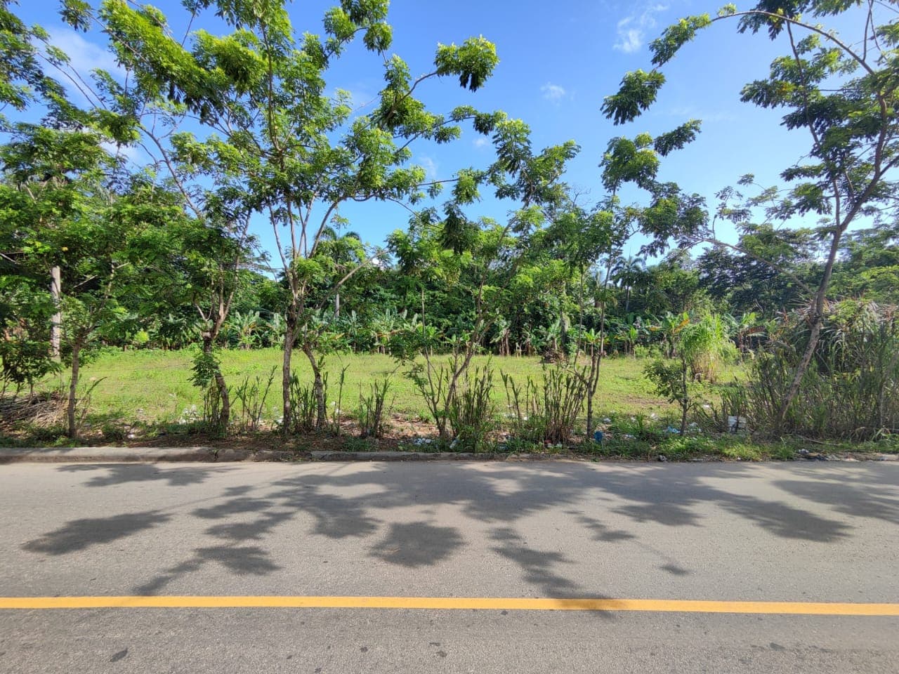 Terreno plano para desarrollo en la entrada de Las Terrenas en La Ceiba, Las Terrenas — En venta
