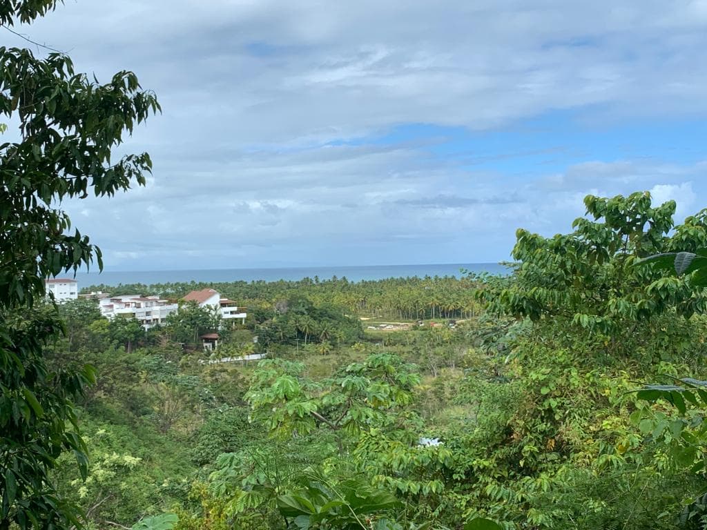 Terreno con vista al mar cerca de Cosón en Cosón, Las Terrenas — En venta