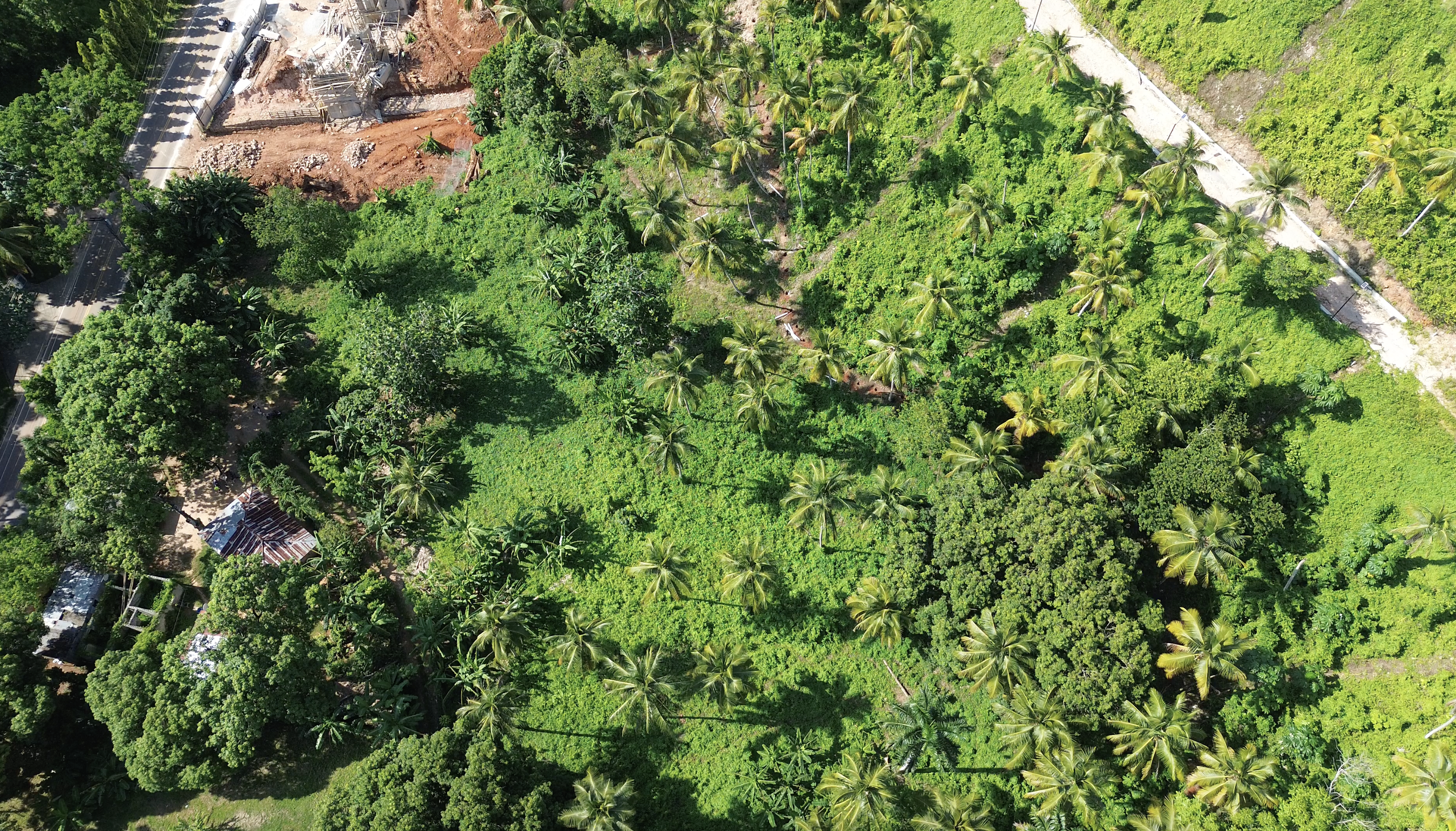 Terreno en Cosón ideal para proyecto pequeño e inversión en Cosón, Las Terrenas — En venta