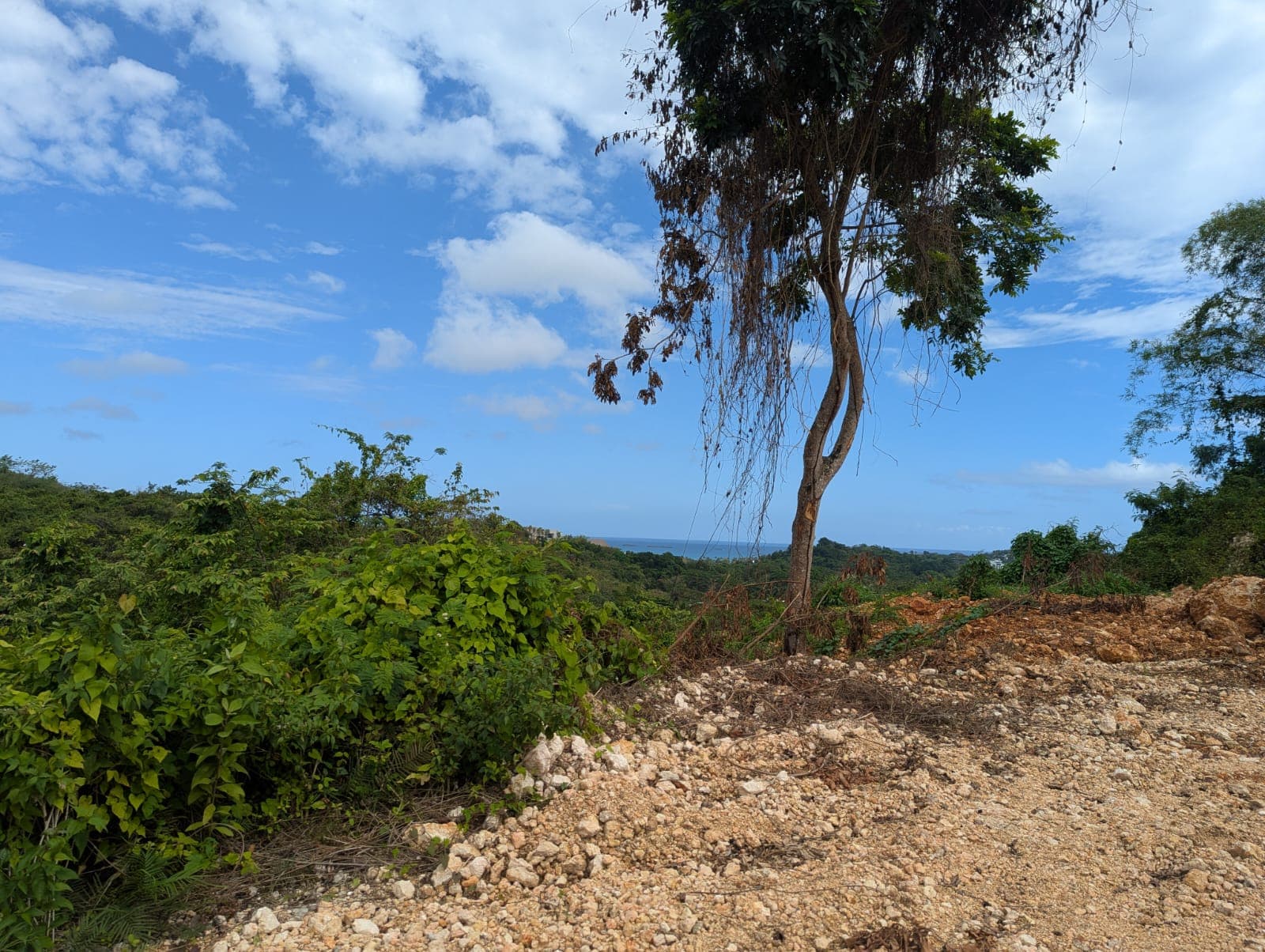 Terreno plano con vista al mar en La Ceiba, listo para construir en La Ceiba, Las Terrenas — En venta