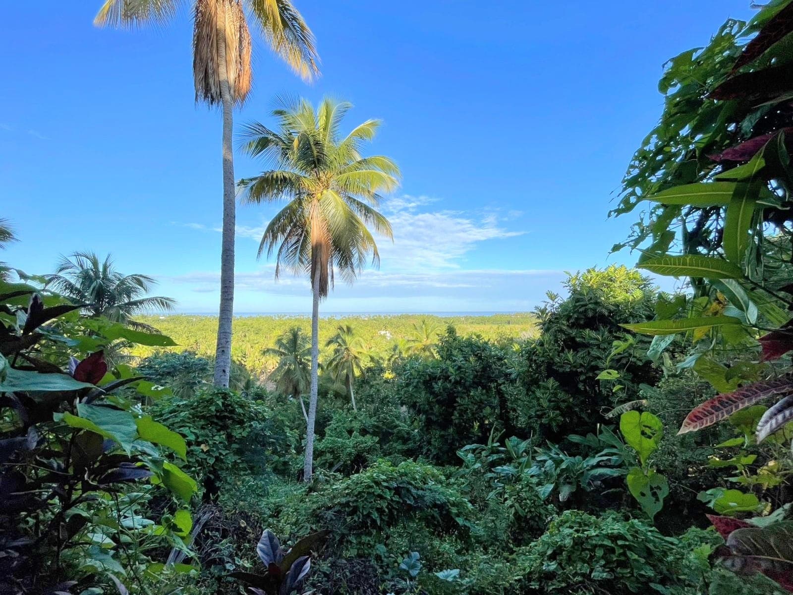 Dos solares de primera con vista al mar cerca de la playa de Cosón en Cosón, Las Terrenas — En venta