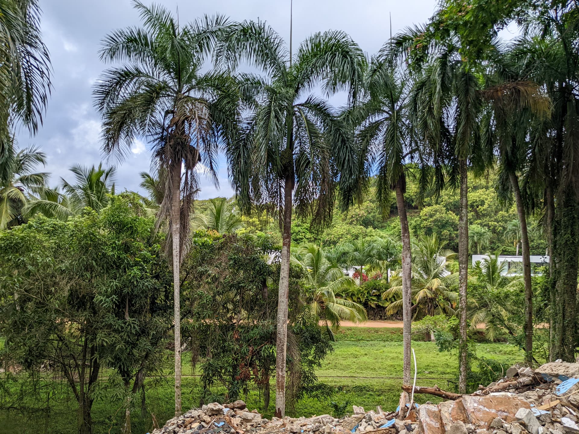 Solar con vistas al green en Las Ballenas, Las Terrenas — En venta