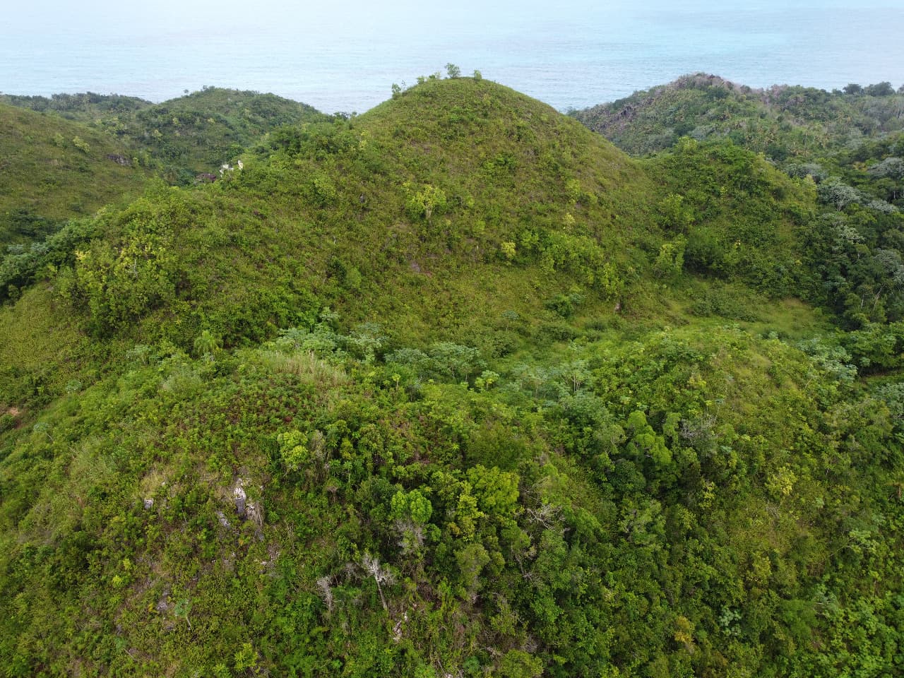 Excepcional oportunidad de terreno con vistas al océano Atlántico en Coson en Cosón, Las Terrenas — En venta