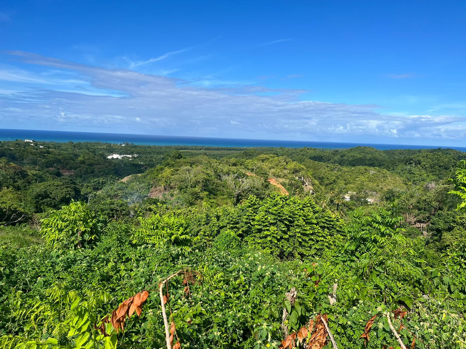 Lotes con vista a la montaña cerca del centro en Abra Grande, Las Terrenas — En venta