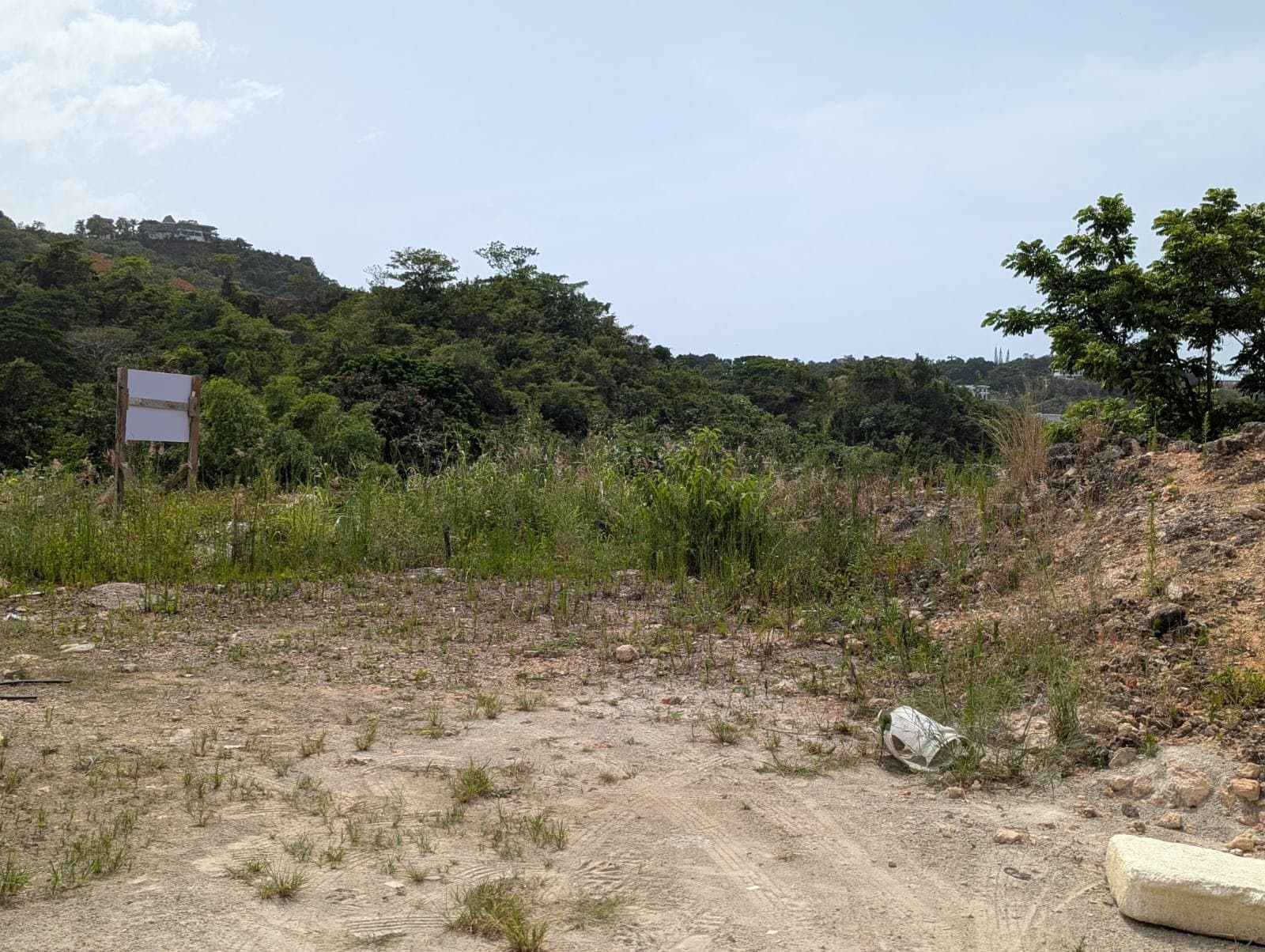 Solar con vista a la montaña en Abra Grande Las Terrenas en Abra Grande, Las Terrenas — En venta
